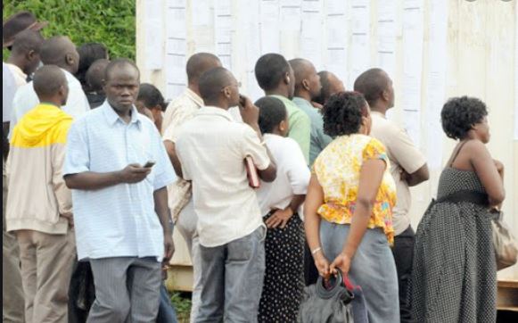 Are you a fresh graduate or any other job hunter? What hunting rifle have you chosen, and is it effective?