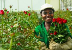 Flower growing in Uganda