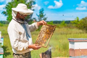 Bee keeping
