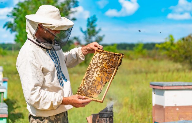 Bee keeping