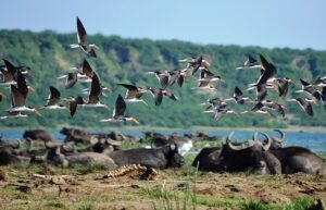 Tourist attractions in Uganda