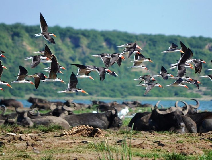 Tourist attractions in Uganda