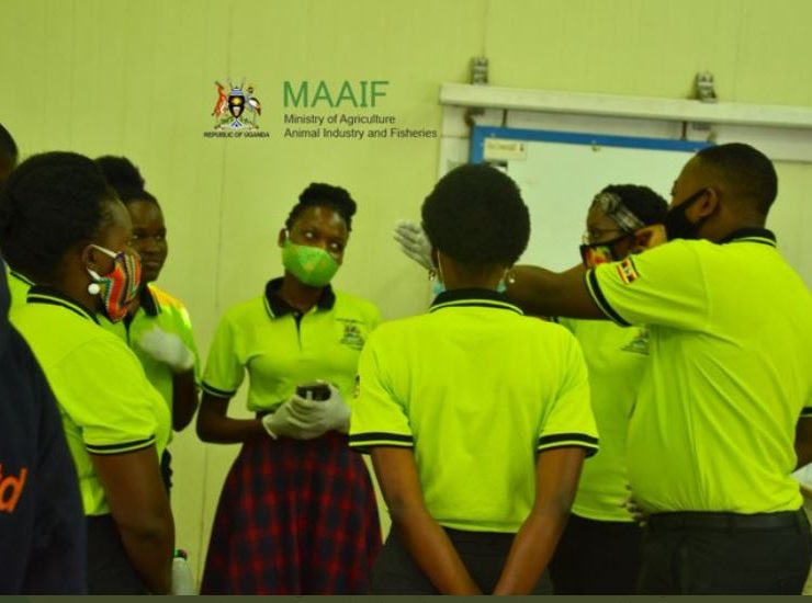 Some of the MAAIF Crop Inspectors at work