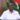 Josphat Mwangi Sales and Marketing Director Coca-Cola Beverages Africa CCBA Kenya